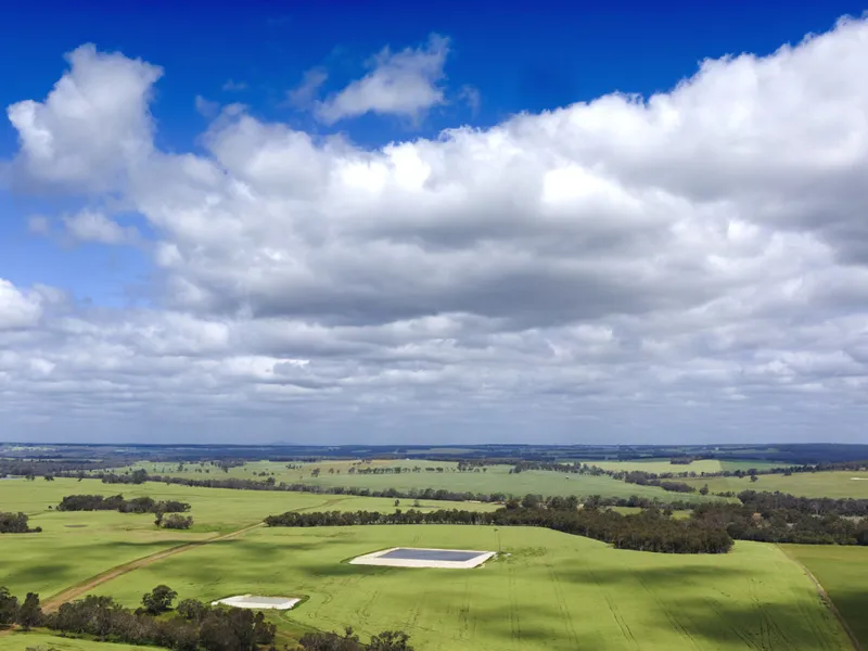 Blackwattle Farm and Russell Road vineyard, West Cape Howe, Hay Shed Hill - High profile vineyards and agricultural portfolio