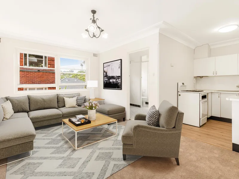 CAT FRIENDLY REFRESHED APARTMENT