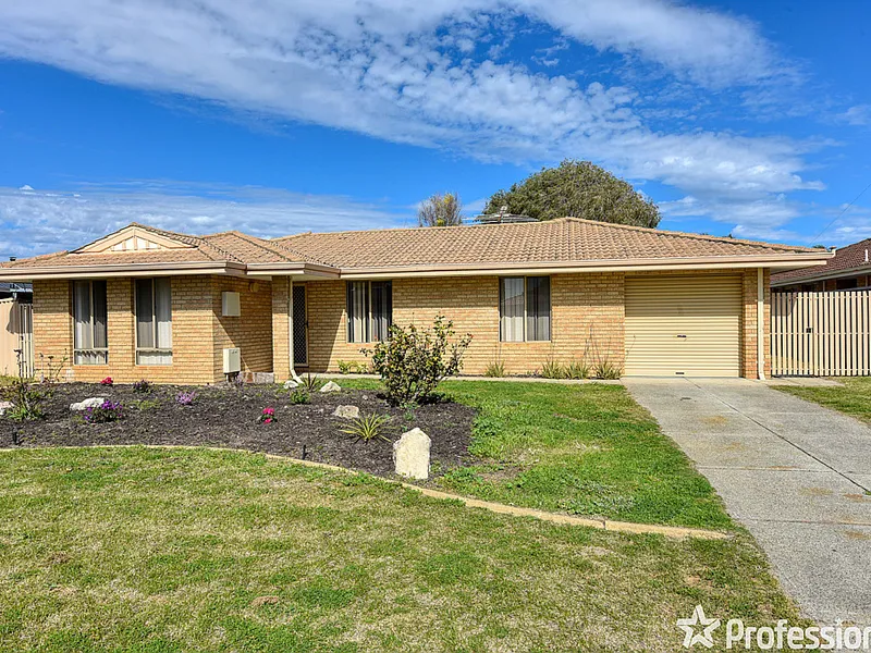 Fantastic yard for the kids.