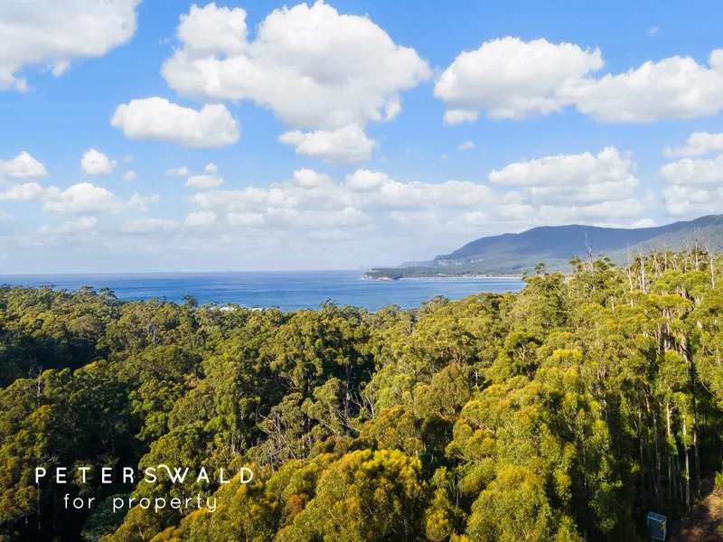 Acreage with tree framed views to Pirates Bay & the Hippolytes
