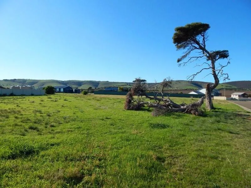 A Blank Canvas Awaiting Your Dream Home