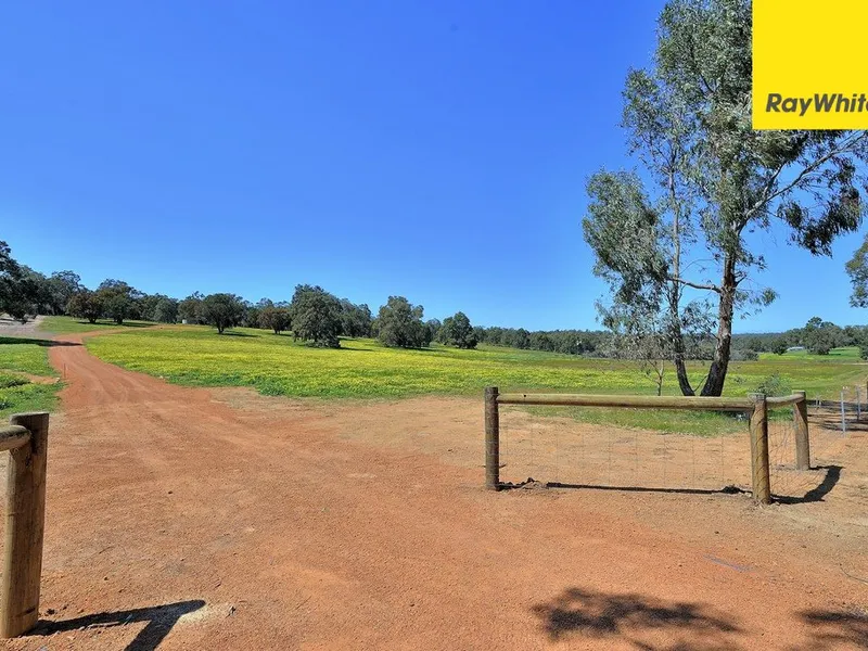SPECIAL 16 ACRE LOT!