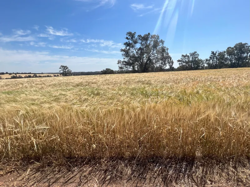'The Brook' | Cranbrook Wa