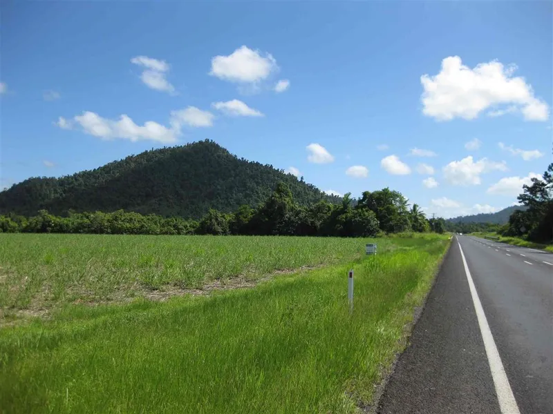 Cane farm with Bruce Highway frontage of approx. 170 metres