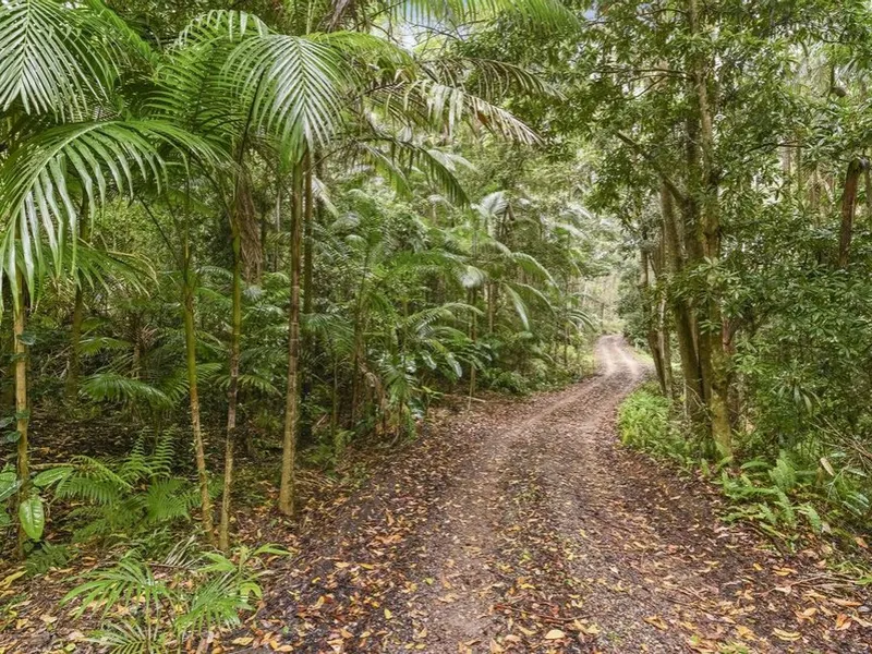 48 ACRES PLUS COUNTRY HOMESTEAD IN BUDERIM'S HEART