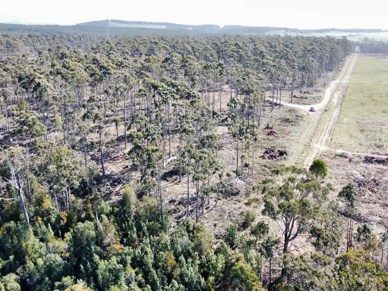 Bushland Retreat