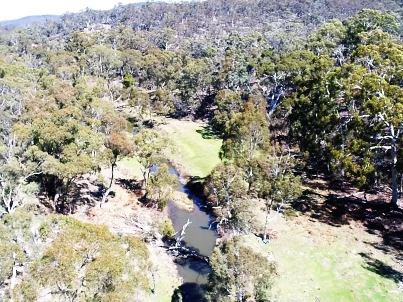 NATIVE BUSHLAND NEAR GOULBURN