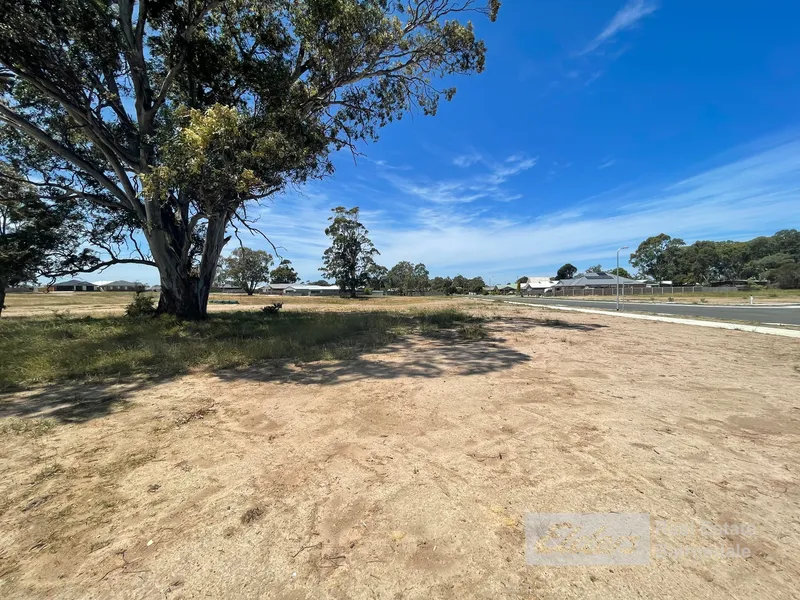 WINNING LOCATION IN HEART OF PAYNESVILLE