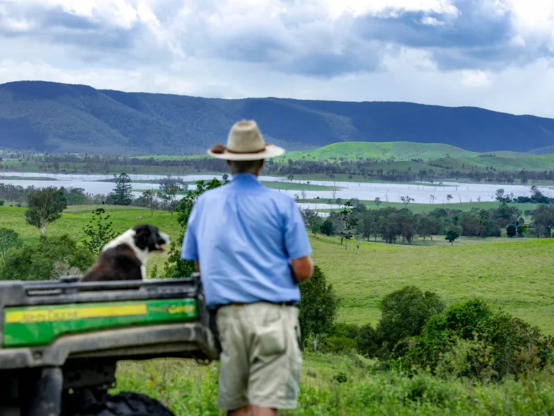 Top Cattle Country and “Wattaview” over Lake Somerset