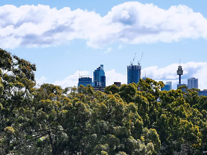 Spacious 2-Bedroom Apartment With Leafy City Views