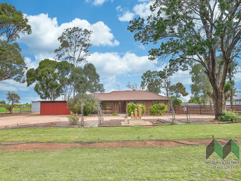 FAMILY ENTERTAINER WITH AMPLE SHEDDING!