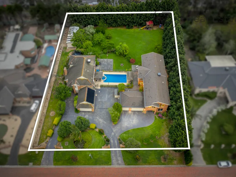 Two For One - Once in a lifetime opportunity! 