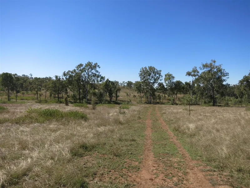 Grazing paddock 245 Acres