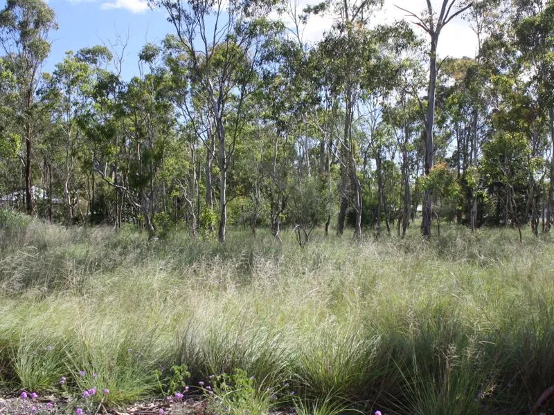 5 Blocks ? Location, Location, Location