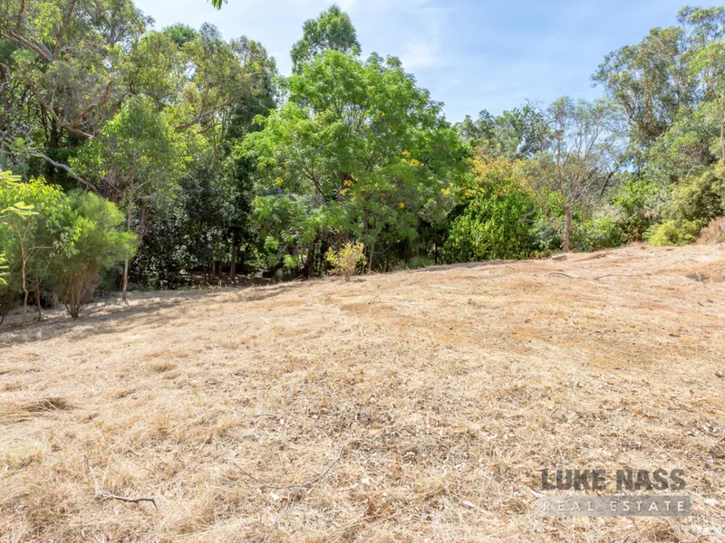 The Brook at the Bottom of the Garden