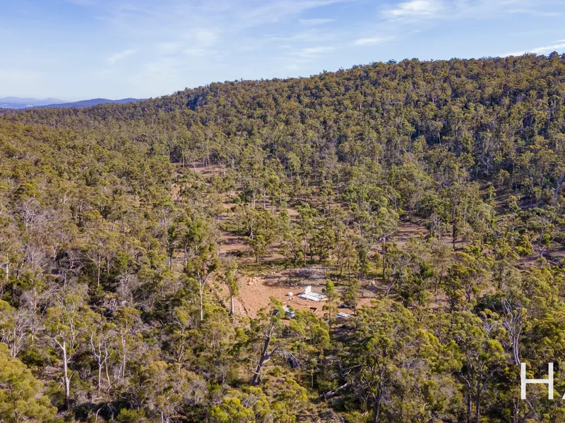 Escape the city, live completely off grid!