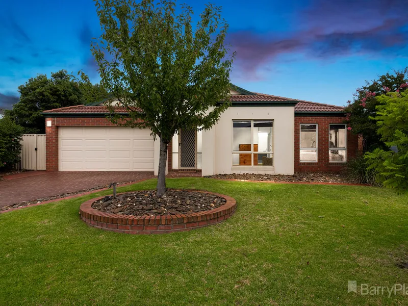 The Palace of Tuileries