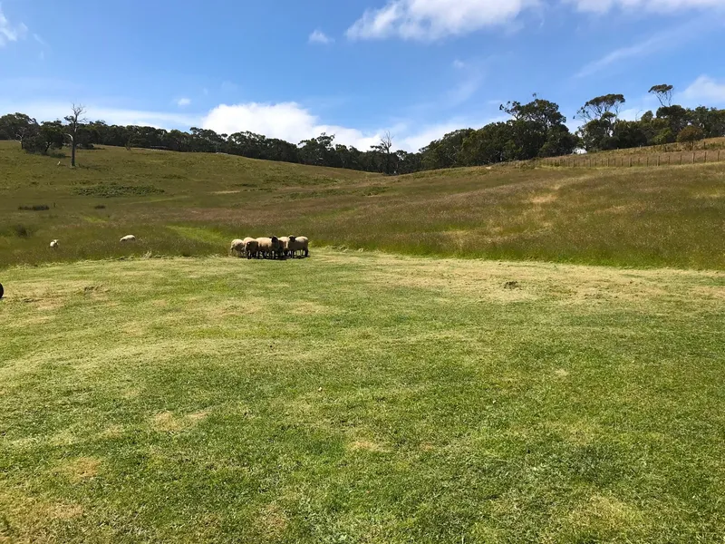 Magic In Mhabri Lane