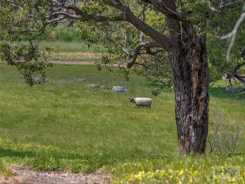 33 acres with Outstanding Views!