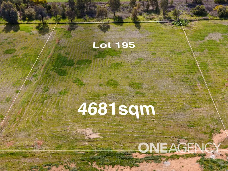 LIFESTYLE BLOCK 4681m2 - REGISTERED & READY TO BUILD