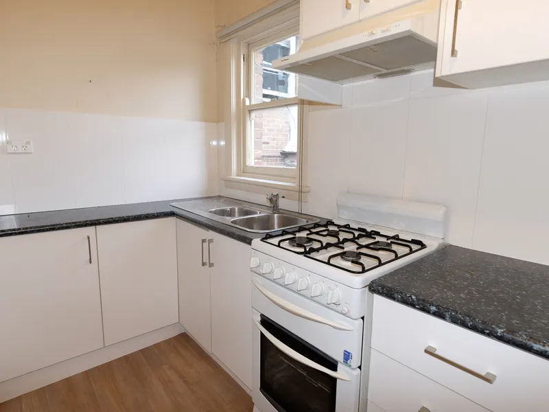 Huge One Bedroom Unit With Backyard