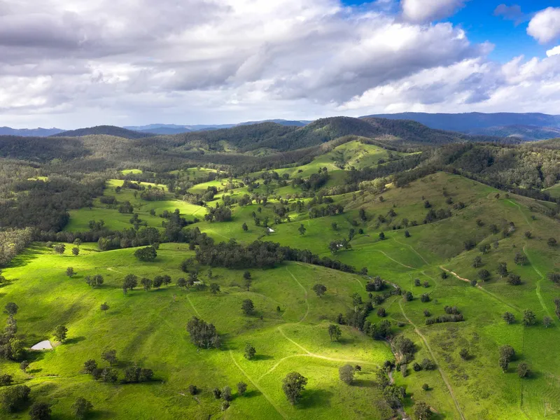 'DEEP CREEK' Large Scale Grazing On Towns Doorstep