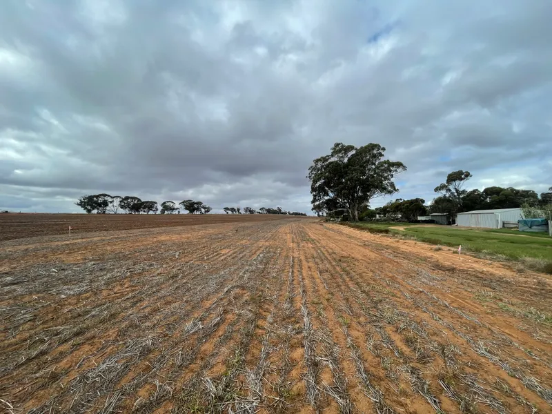 One Large Block of Land 4000sqm (4 Lots - 9,10,15 7 16)