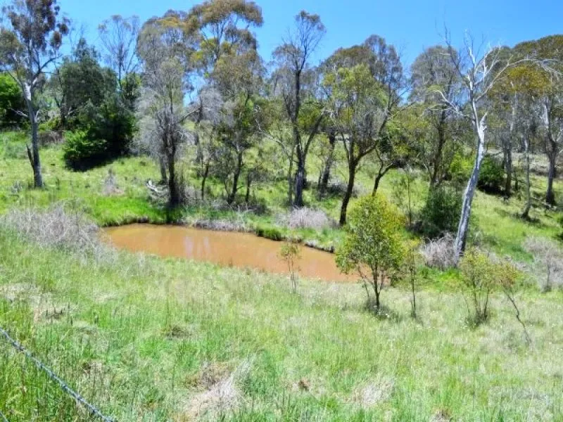 Basalt Acreage – Rural Views