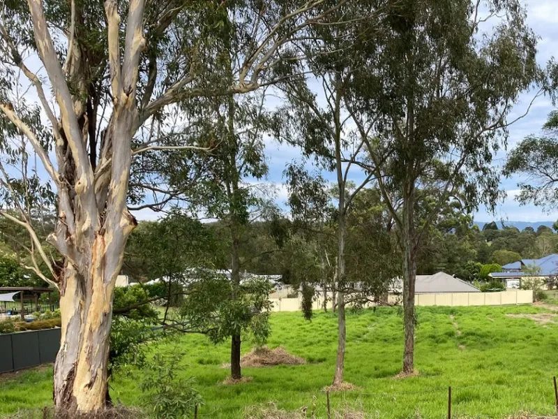 Rare Vacant 3/4 Acre in Burpengary - Excellent Exposure