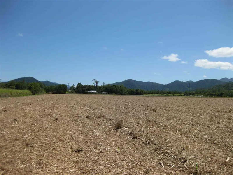 Small acreage cane farm approx. 500 metres from town