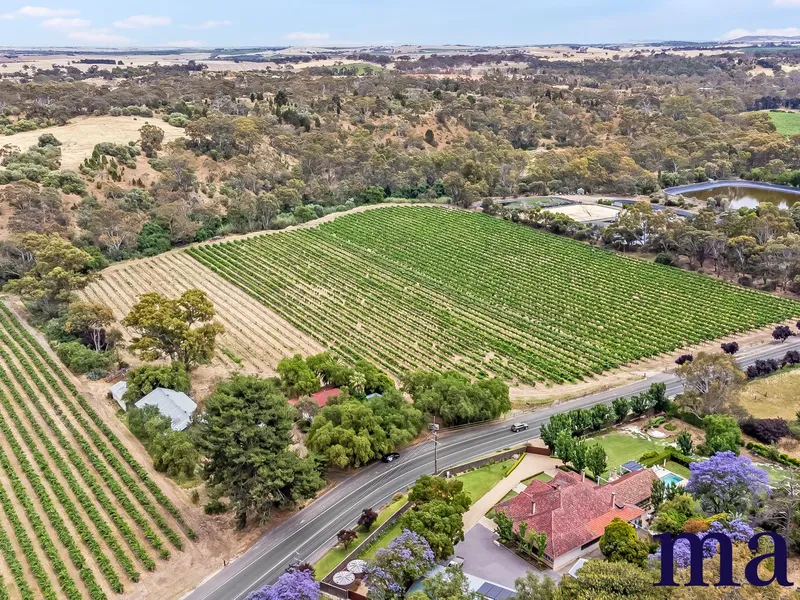 Embrace the Vineyard Lifestyle in Rowland Flat's Hidden Gem