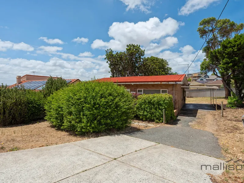 YOU'LL BE IN YOUR ELEMENT!