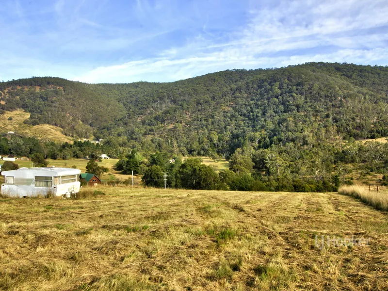 2 ACRES OVERLOOKING OMEO