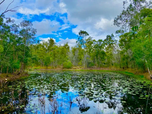 Lush 60 Acres with a variety of housing options available