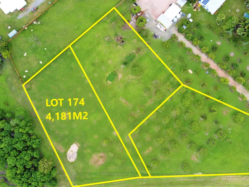 Here is your opportunity to purchase a unique part of Alligator Creek.