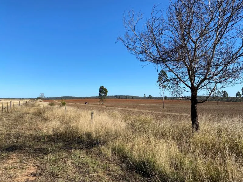 Highly productive cropping country