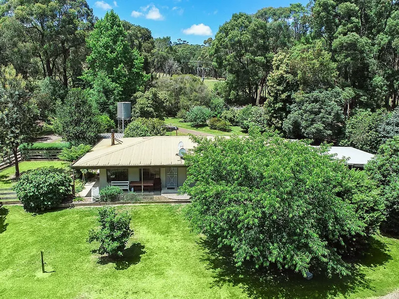 A HOME AMONG THE GUM TREES