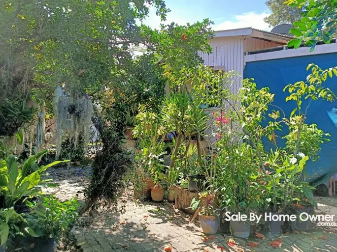 Investment Opportunity Quarter Acre Block Yorkeys Knob