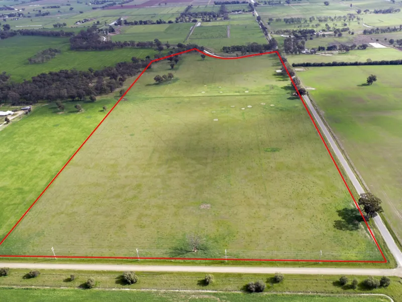 Ideal Out Paddock