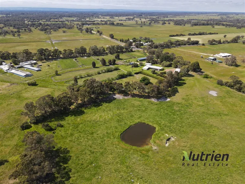 Sensational Horse/Cattle Property