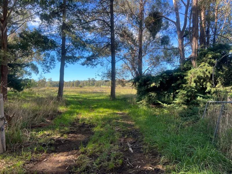 RARE OPPORTUNITY TO PURCHASE 21 ACRES