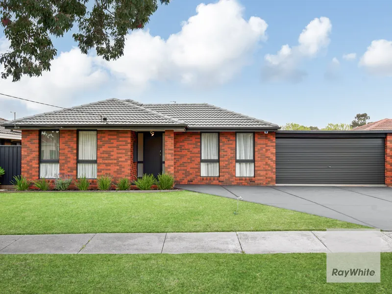 THIS IS THE ONE WITH THE LOT !