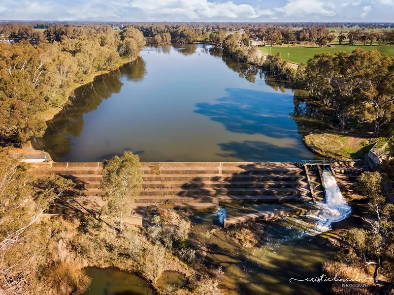 Just a touch of Paradise