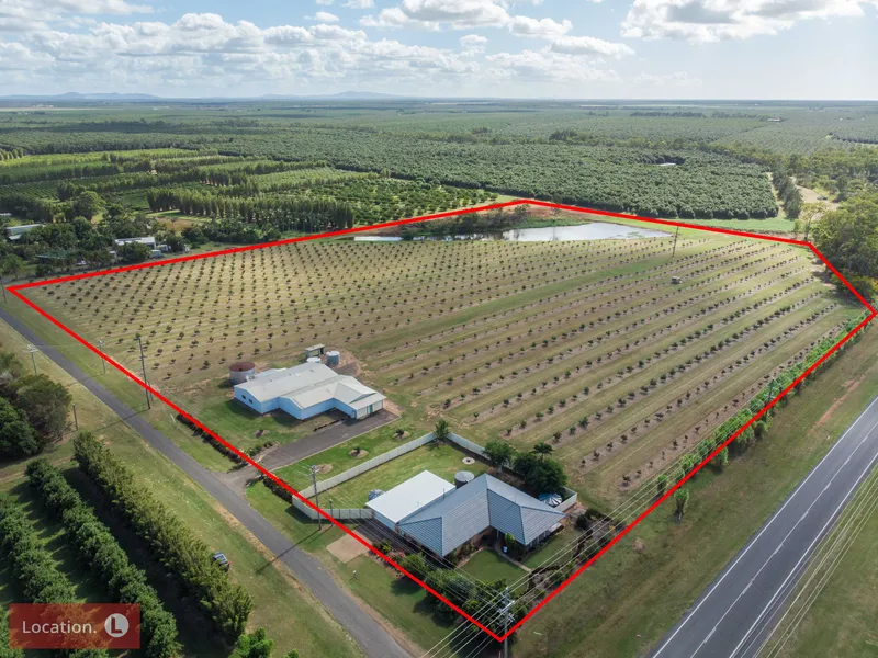 20 ACRE AVOCADO FARM WITH LARGE RENOVATED HOME & A 500m2 SHED!