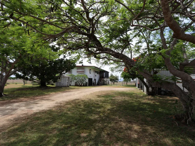 Lovely Family Home, Shady Trees and almost 18 Acres