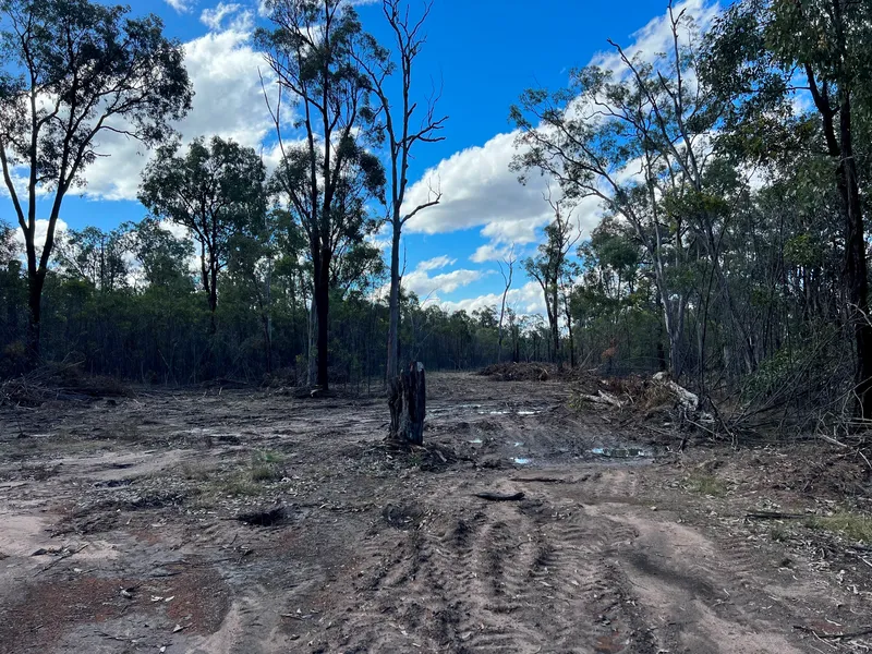 12 Hectares to play with