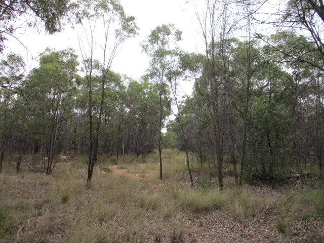 Boundaries are marked on this near 30 acre parcel of land