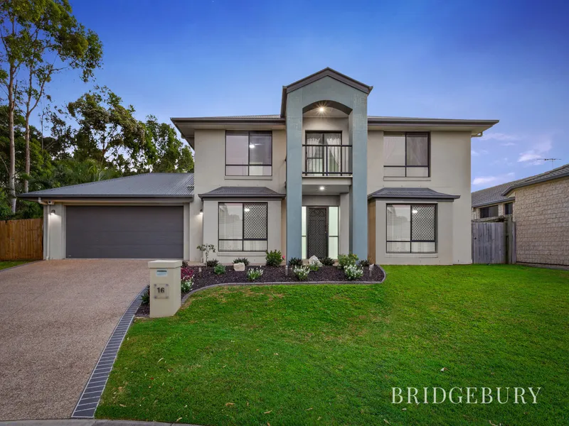 EXQUISITE FAMILY ABODE WITH EXPANSIVE LIVING SPACES AND A SPARKLING POOL ON A GENEROUS 696m2 BLOCK!