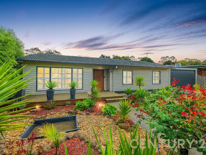 SOMETHING FOR EVERYONE!