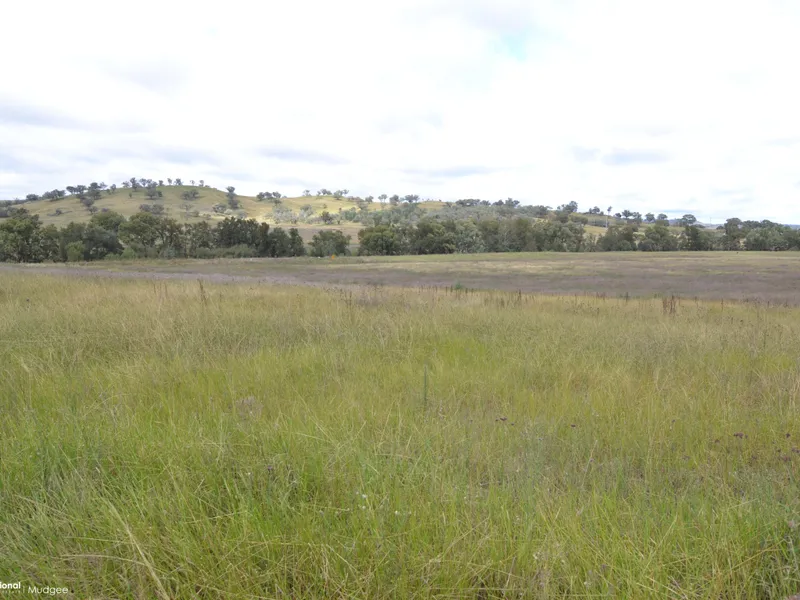 1.6 HA AT SOFALA